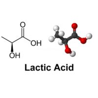 acido lactico