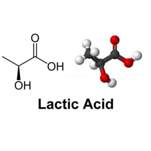 acido lactico