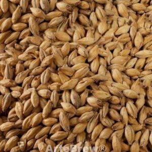 Malte Pale Ale - Maltaria Weyermann®-100g