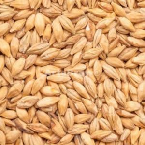 Pilsen Malte Maltaria Weyermann® - 1kg
